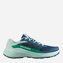Кросівки Salomon ALPHAGLIDE чол. зелений-синій 10