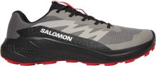 Кроссовки Salomon ALPHAGLIDE муж. серый-черный 10