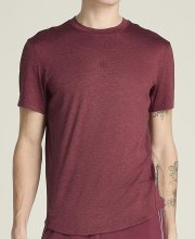 Футболка Wilson муж. EVERYDAY PERFORMANCE TEE CRANBERRY бордовый LG